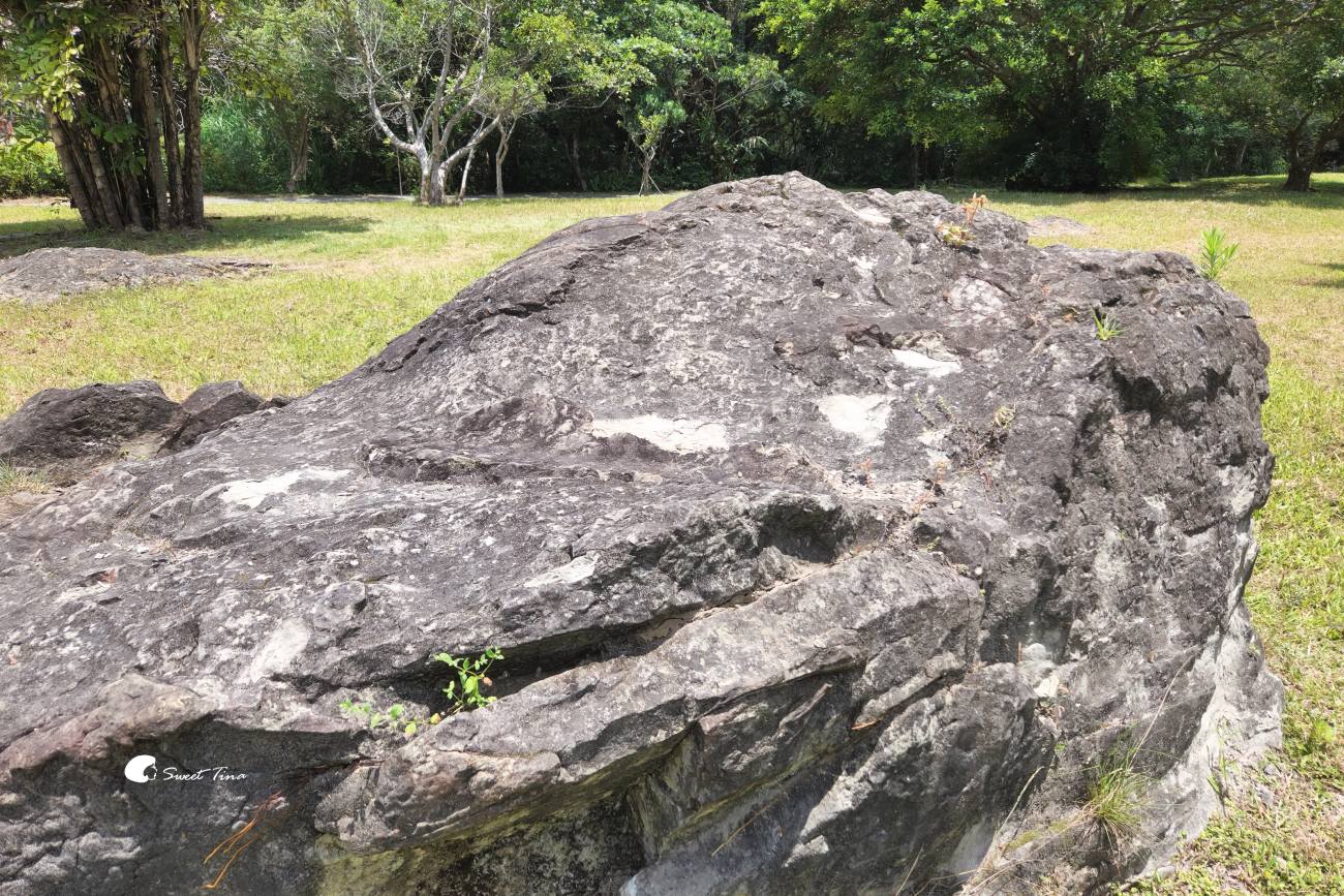 大漢溪山豬湖生態親水園區|桃園大溪景點,漫步親水步道、欣賞濕地生態與壯麗中庄吊橋 大漢溪山豬湖生態親水園區|桃園大溪景點,漫步親水步道、欣賞濕地生態與壯麗中庄吊橋