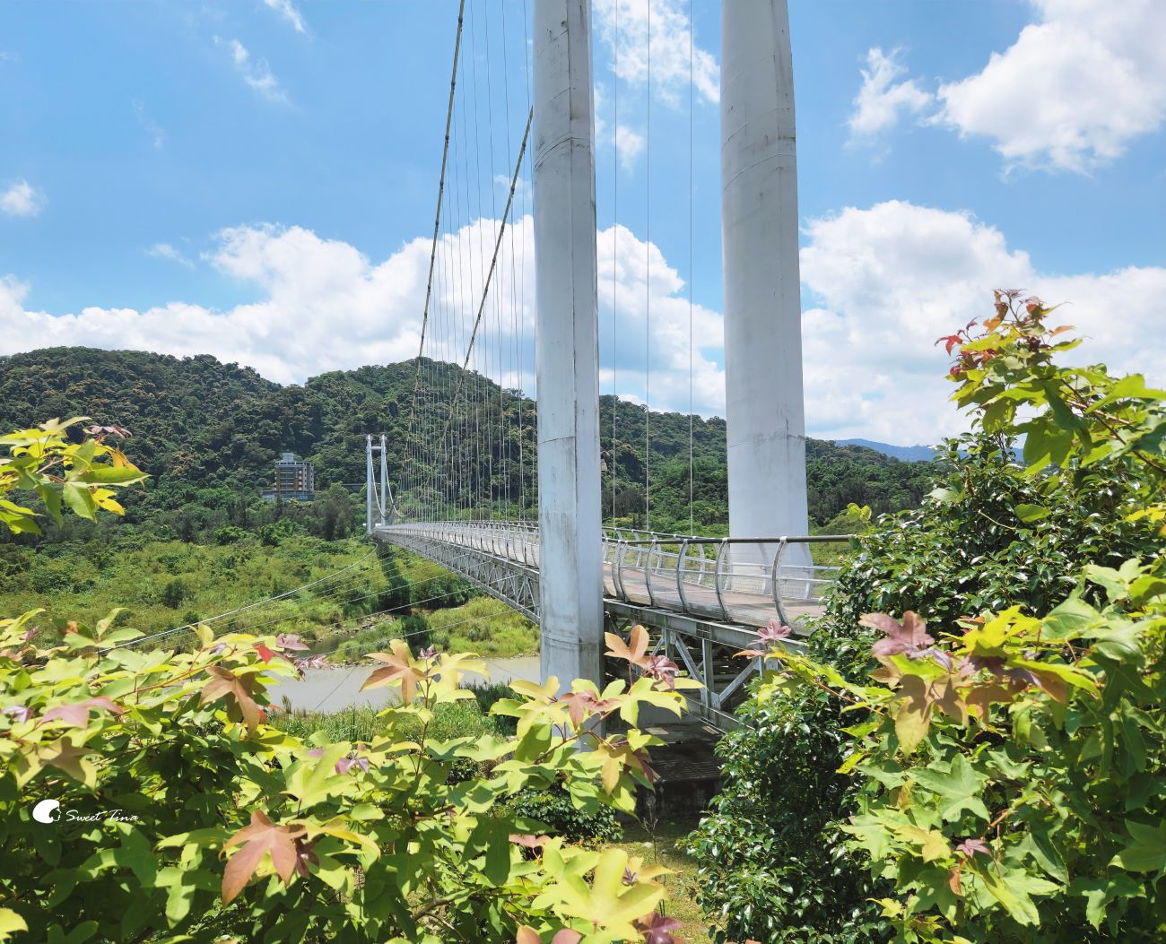 大漢溪山豬湖生態親水園區|桃園大溪景點,漫步親水步道、欣賞濕地生態與壯麗中庄吊橋 大漢溪山豬湖生態親水園區|桃園大溪景點,漫步親水步道、欣賞濕地生態與壯麗中庄吊橋