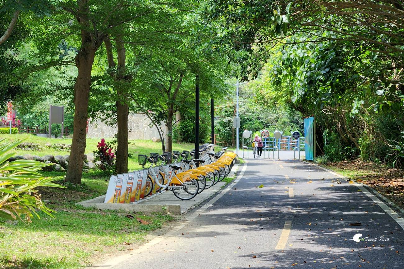 大漢溪山豬湖生態親水園區|桃園大溪景點,漫步親水步道、欣賞濕地生態與壯麗中庄吊橋 大漢溪山豬湖生態親水園區|桃園大溪景點,漫步親水步道、欣賞濕地生態與壯麗中庄吊橋