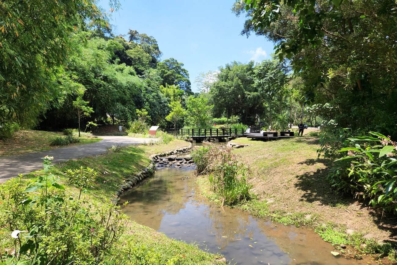 大漢溪山豬湖生態親水園區|桃園大溪景點,漫步親水步道、欣賞濕地生態與壯麗中庄吊橋 大漢溪山豬湖生態親水園區|桃園大溪景點,漫步親水步道、欣賞濕地生態與壯麗中庄吊橋