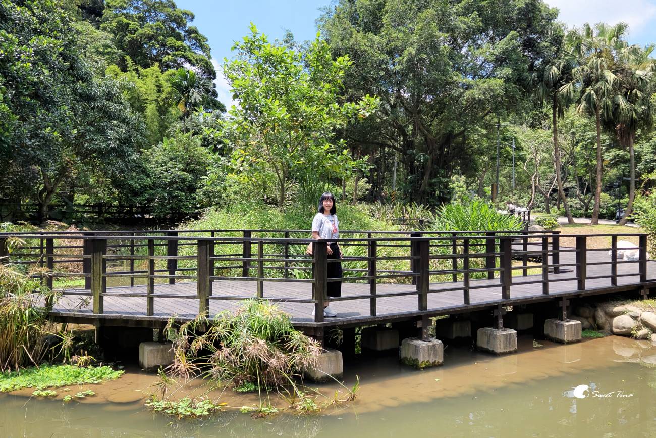 大漢溪山豬湖生態親水園區|桃園大溪景點,漫步親水步道、欣賞濕地生態與壯麗中庄吊橋 大漢溪山豬湖生態親水園區|桃園大溪景點,漫步親水步道、欣賞濕地生態與壯麗中庄吊橋