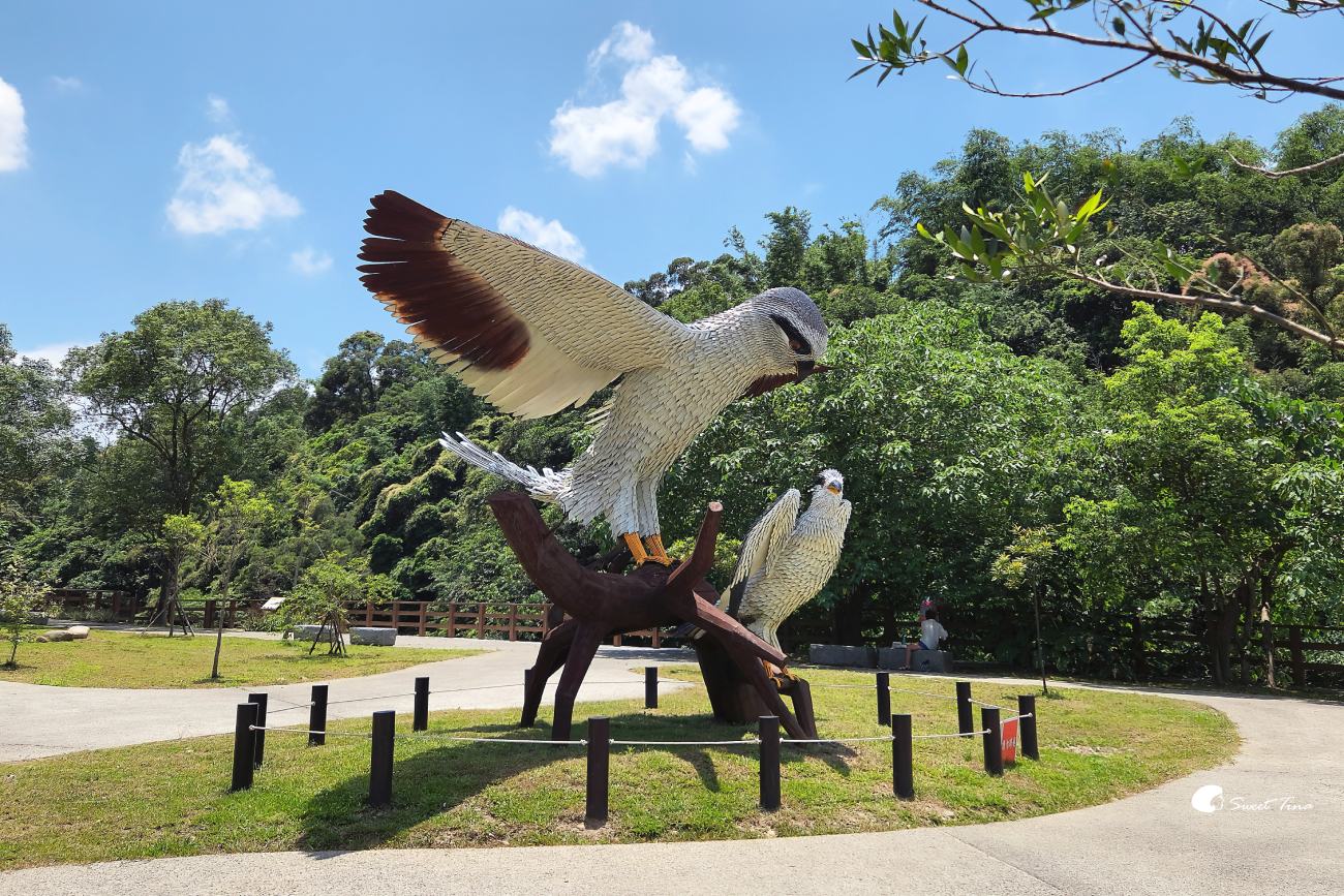 大漢溪山豬湖生態親水園區｜桃園大溪景點，漫步親水步道、欣賞濕地生態與壯麗中庄吊橋