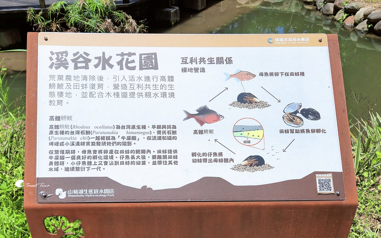 大漢溪山豬湖生態親水園區|桃園大溪景點,漫步親水步道、欣賞濕地生態與壯麗中庄吊橋 大漢溪山豬湖生態親水園區|桃園大溪景點,漫步親水步道、欣賞濕地生態與壯麗中庄吊橋