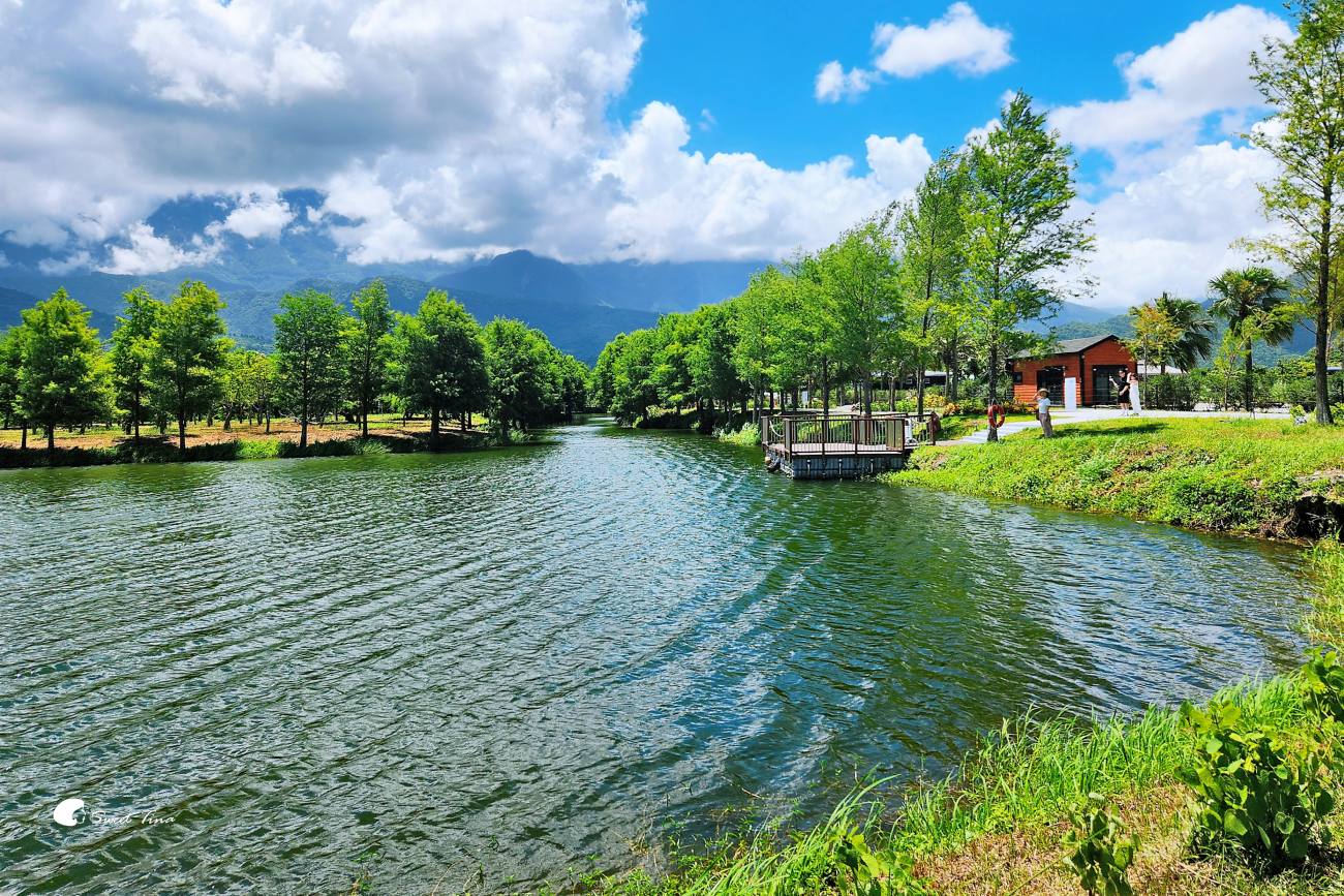 星巴克花蓮理想門市|花蓮咖啡廳推薦,童話小屋與落羽松湖景 星巴克花蓮理想門市|花蓮咖啡廳推薦,童話小屋與落羽松湖景