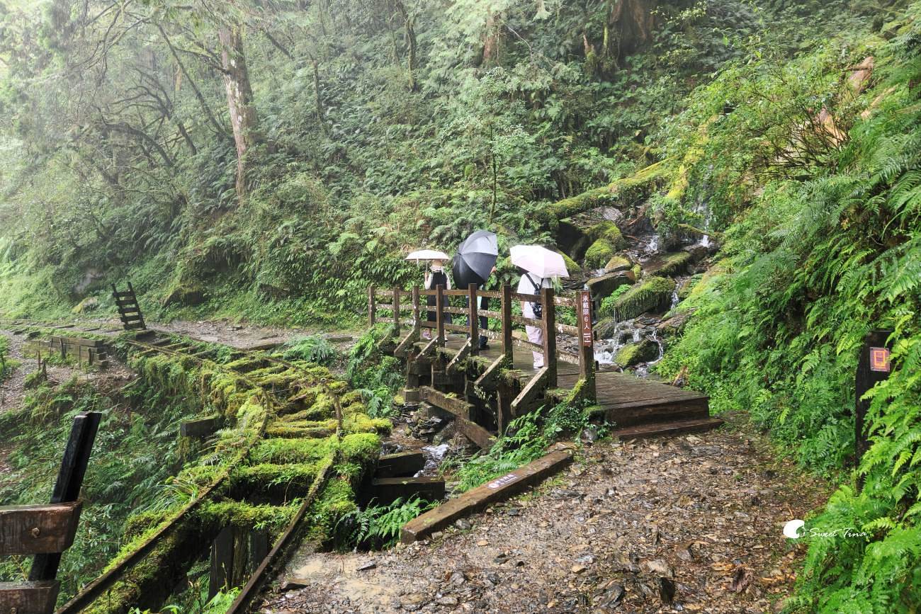 宜蘭太平山見晴懷古步道|走進迷霧森林鐵道!長輩親子輕鬆走,門票交通整理 宜蘭太平山見晴懷古步道|走進迷霧森林鐵道!長輩親子輕鬆走,門票交通整理