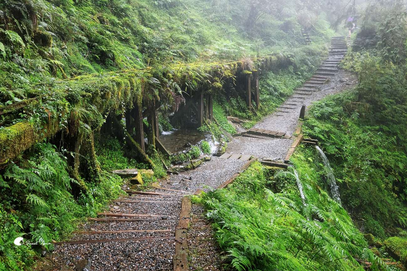 宜蘭太平山見晴懷古步道|走進迷霧森林鐵道!長輩親子輕鬆走,門票交通整理 宜蘭太平山見晴懷古步道|走進迷霧森林鐵道!長輩親子輕鬆走,門票交通整理