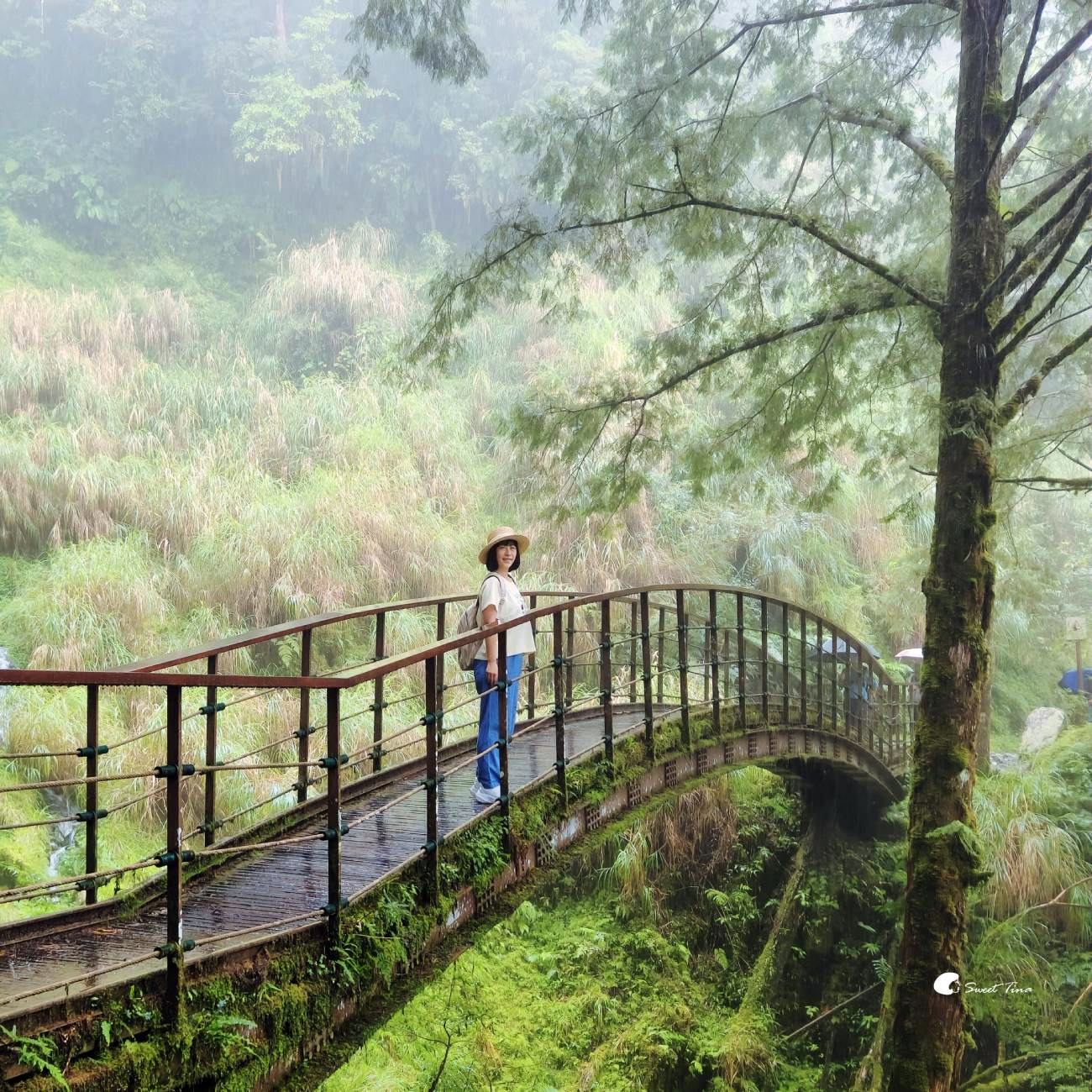 宜蘭太平山見晴懷古步道|走進迷霧森林鐵道!長輩親子輕鬆走,門票交通整理 宜蘭太平山見晴懷古步道|走進迷霧森林鐵道!長輩親子輕鬆走,門票交通整理