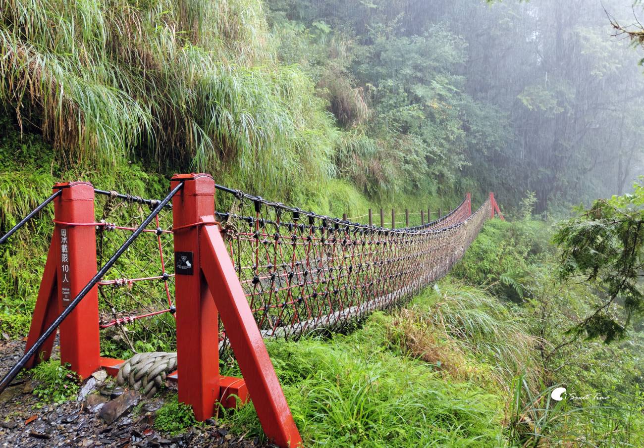 宜蘭太平山見晴懷古步道｜走進迷霧森林鐵道！長輩親子輕鬆走，門票交通整理