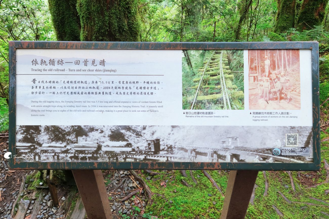宜蘭太平山見晴懷古步道|走進迷霧森林鐵道!長輩親子輕鬆走,門票交通整理 宜蘭太平山見晴懷古步道|走進迷霧森林鐵道!長輩親子輕鬆走,門票交通整理