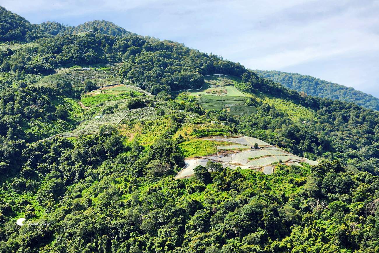 南投帖比倫峽谷瀑布|紅香部落秘境景點,紅香茶園、五彩岩壁、碧綠深潭 南投帖比倫峽谷瀑布|紅香部落秘境景點,紅香茶園、五彩岩壁、碧綠深潭