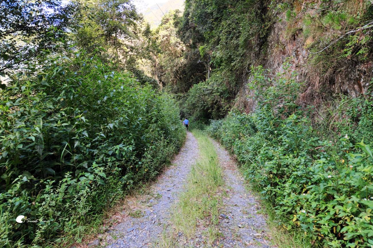 南投帖比倫峽谷瀑布|紅香部落秘境景點,紅香茶園、五彩岩壁、碧綠深潭 南投帖比倫峽谷瀑布|紅香部落秘境景點,紅香茶園、五彩岩壁、碧綠深潭