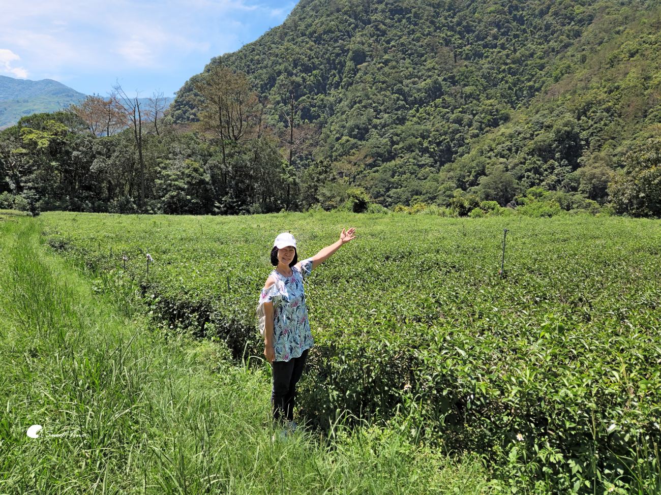 南投帖比倫峽谷瀑布|紅香部落秘境景點,紅香茶園、五彩岩壁、碧綠深潭 南投帖比倫峽谷瀑布|紅香部落秘境景點,紅香茶園、五彩岩壁、碧綠深潭