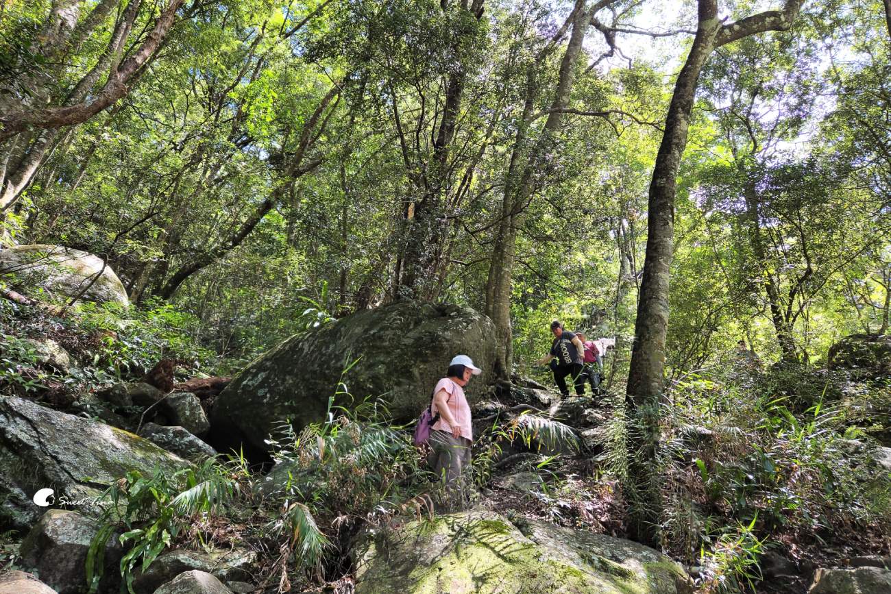 南投帖比倫峽谷瀑布|紅香部落秘境景點,紅香茶園、五彩岩壁、碧綠深潭 南投帖比倫峽谷瀑布|紅香部落秘境景點,紅香茶園、五彩岩壁、碧綠深潭