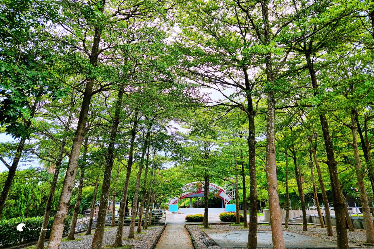 台北自來水博物館觀音山蓄水池｜走進神秘地下水宮殿古蹟