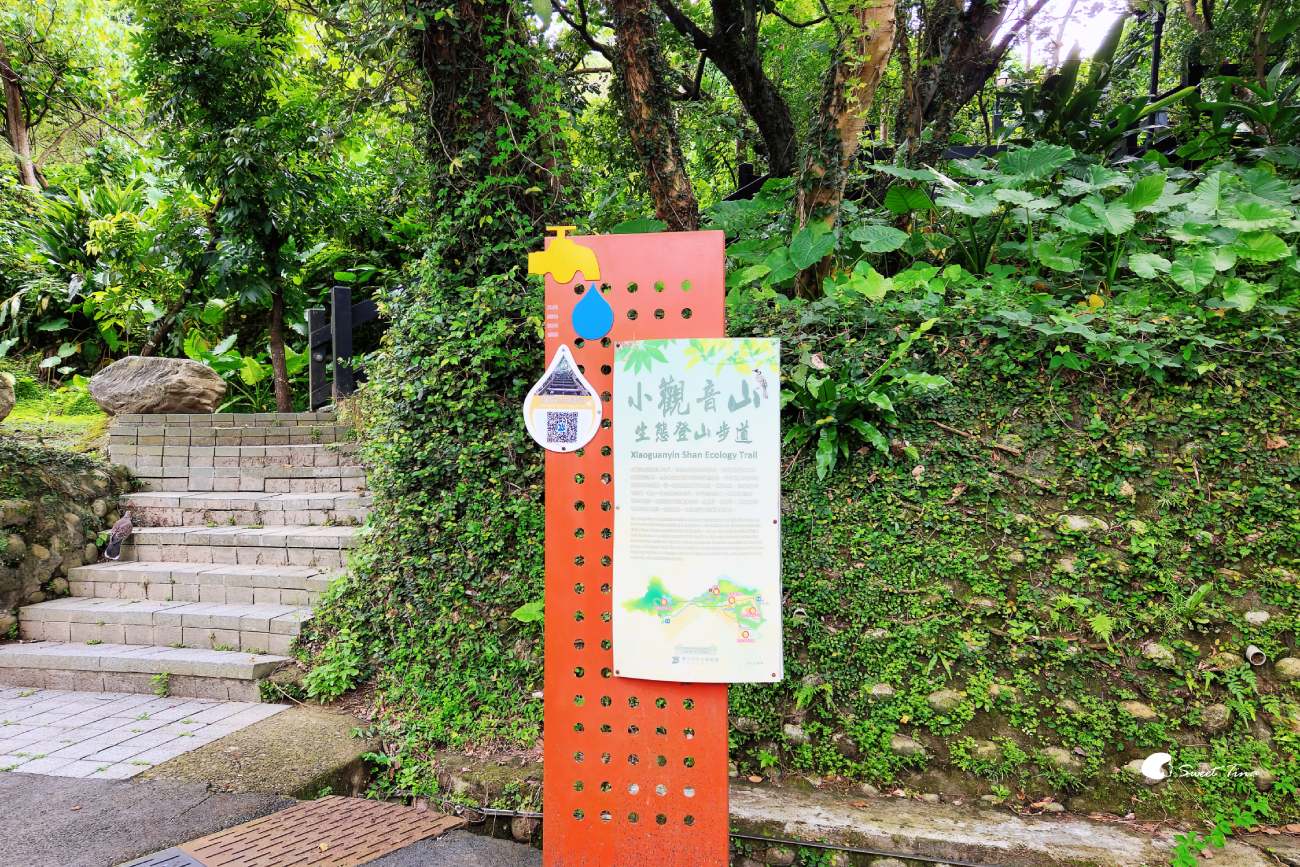 台北自來水博物館觀音山蓄水池｜走進神秘地下水宮殿古蹟