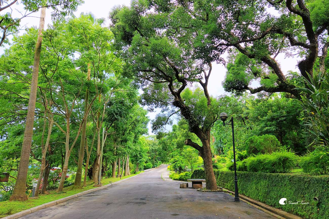 台北自來水博物館觀音山蓄水池｜走進神秘地下水宮殿古蹟