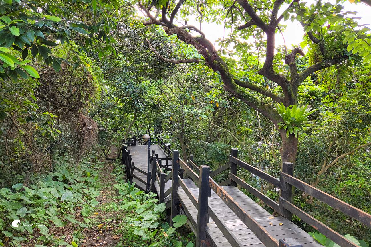 台北自來水博物館觀音山蓄水池｜走進神秘地下水宮殿古蹟
