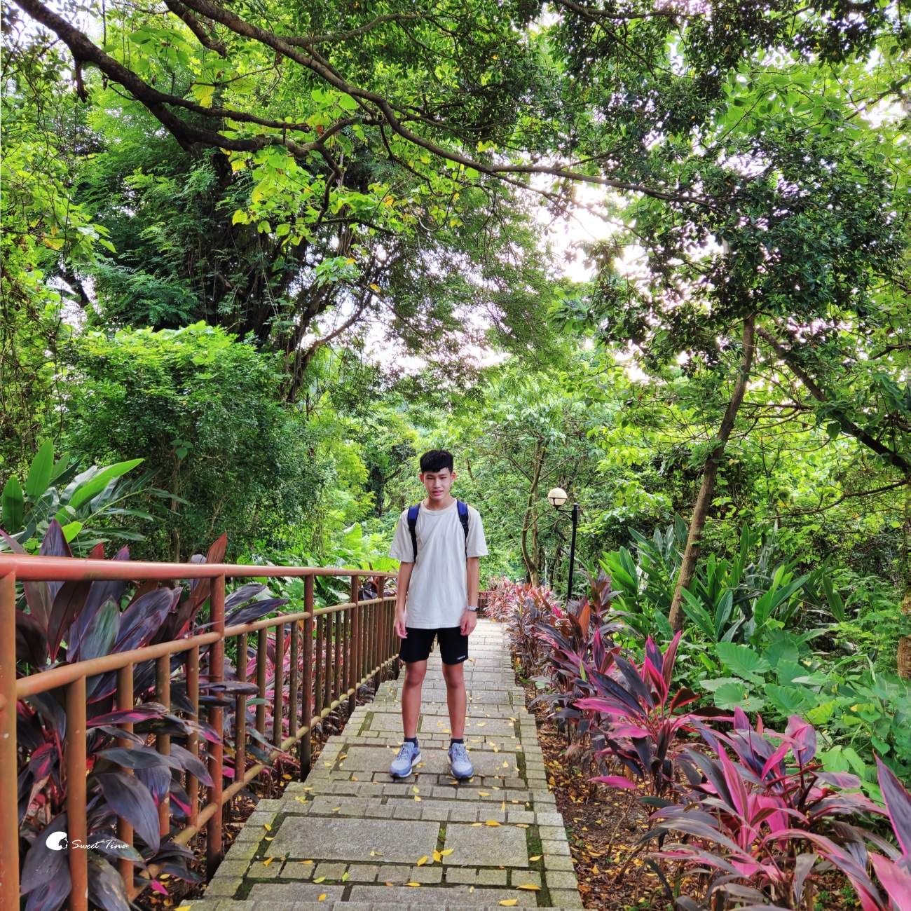 台北自來水博物館觀音山蓄水池｜走進神秘地下水宮殿古蹟