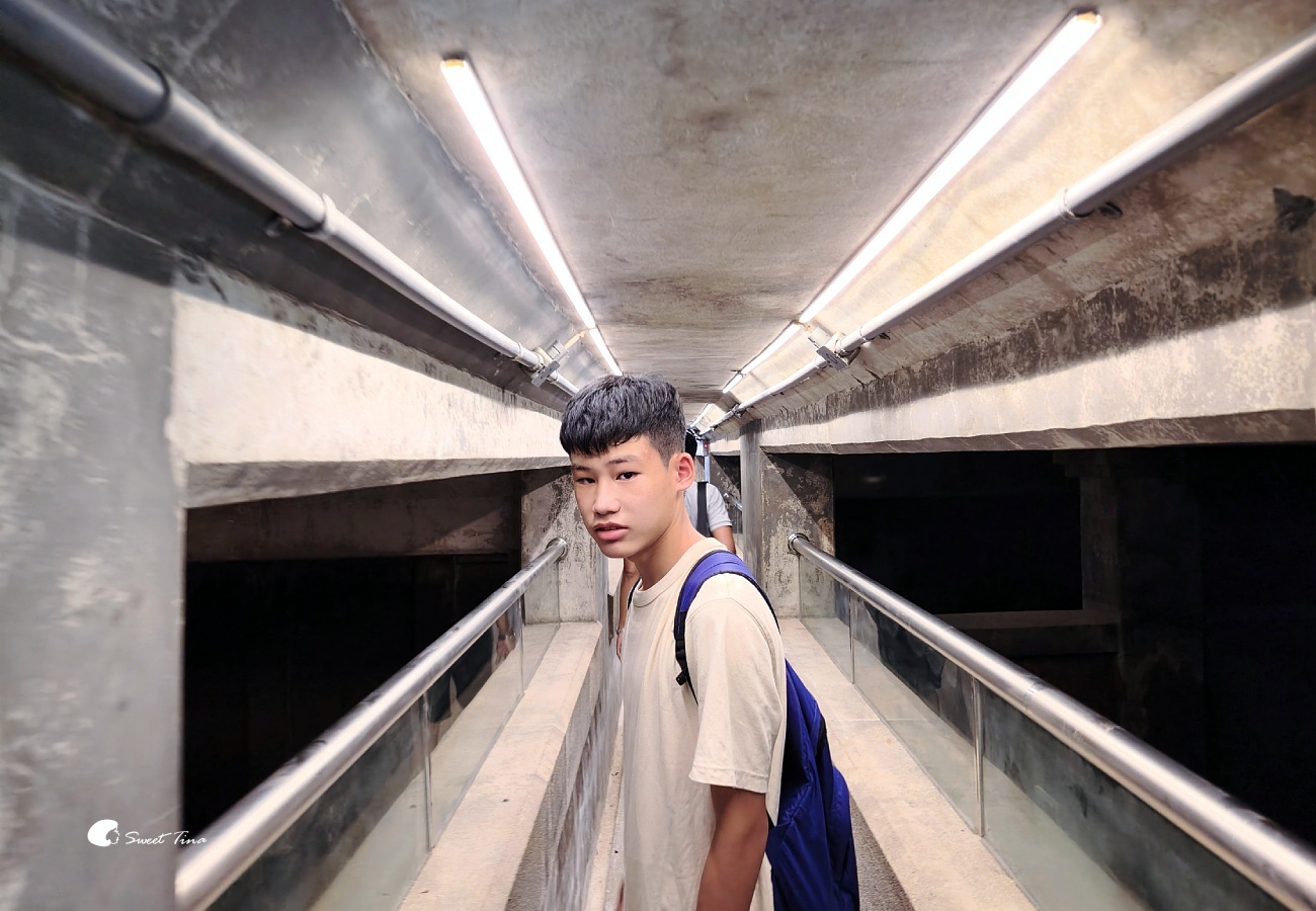 台北自來水博物館觀音山蓄水池｜走進神秘地下水宮殿古蹟