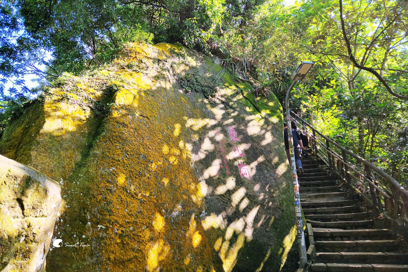 象山步道|台北步道推薦,近距離欣賞台北101美景 象山步道|台北步道推薦,近距離欣賞台北101美景