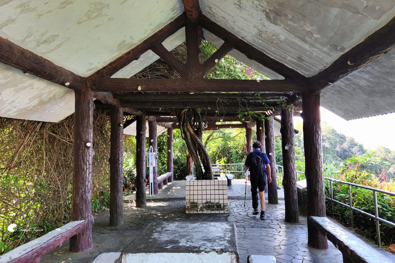 象山步道|台北步道推薦,近距離欣賞台北101美景 象山步道|台北步道推薦,近距離欣賞台北101美景