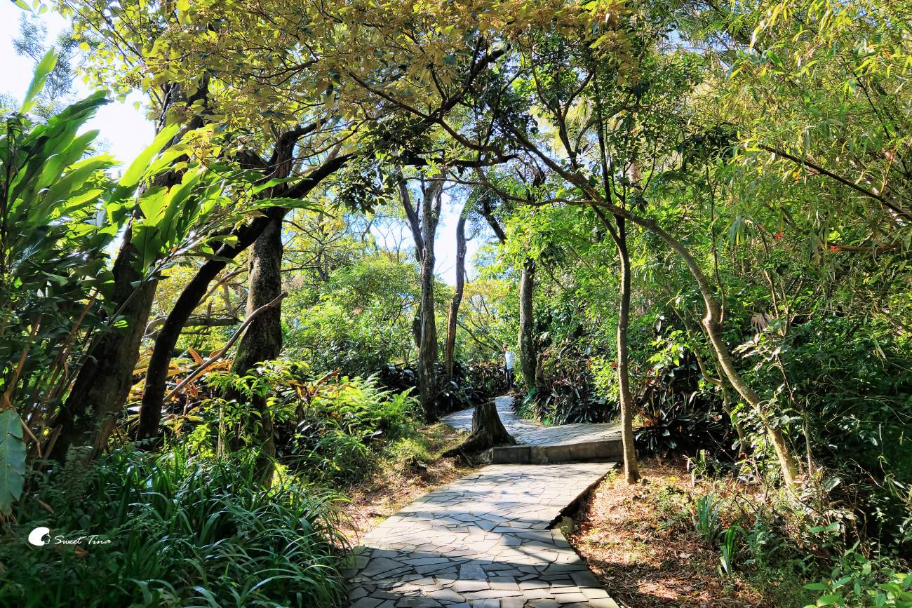 象山步道|台北步道推薦,近距離欣賞台北101美景 象山步道|台北步道推薦,近距離欣賞台北101美景