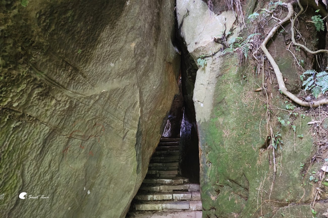 象山步道|台北步道推薦,近距離欣賞台北101美景 象山步道|台北步道推薦,近距離欣賞台北101美景