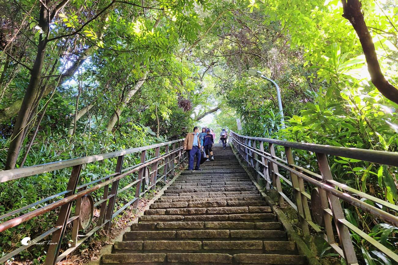 象山步道|台北步道推薦,近距離欣賞台北101美景 象山步道|台北步道推薦,近距離欣賞台北101美景
