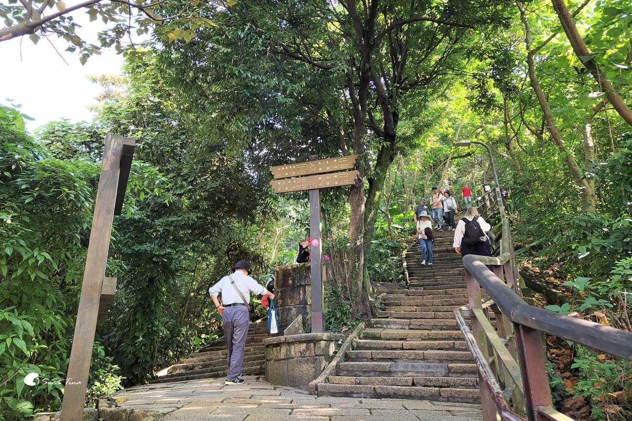 象山步道|台北步道推薦,近距離欣賞台北101美景 象山步道|台北步道推薦,近距離欣賞台北101美景