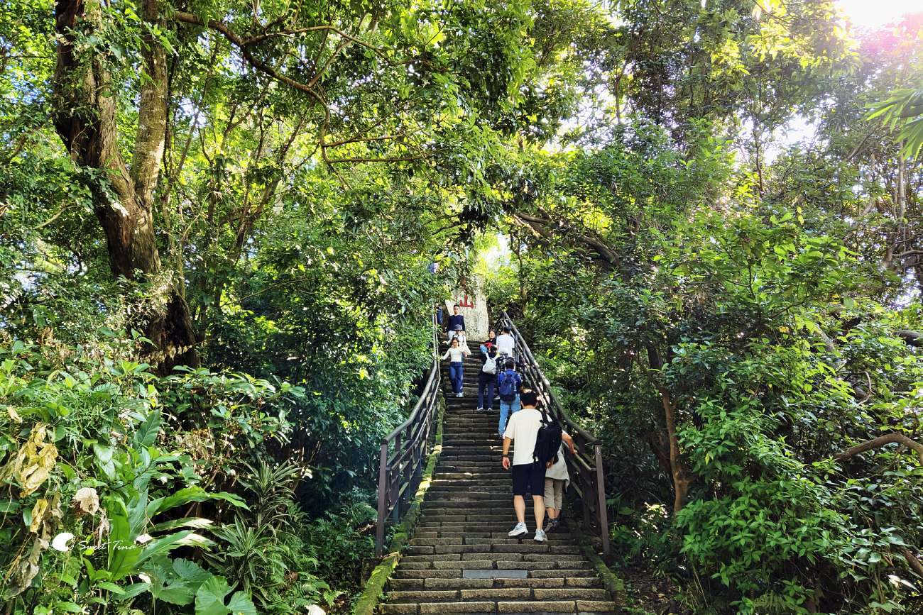 象山步道|台北步道推薦,近距離欣賞台北101美景 象山步道|台北步道推薦,近距離欣賞台北101美景