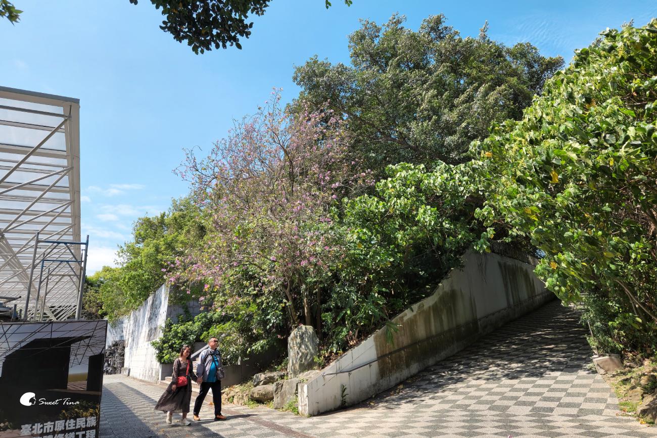 圓山自然景觀公園｜尋訪懷舊摩天輪、花博文化遺跡，台北散步景點