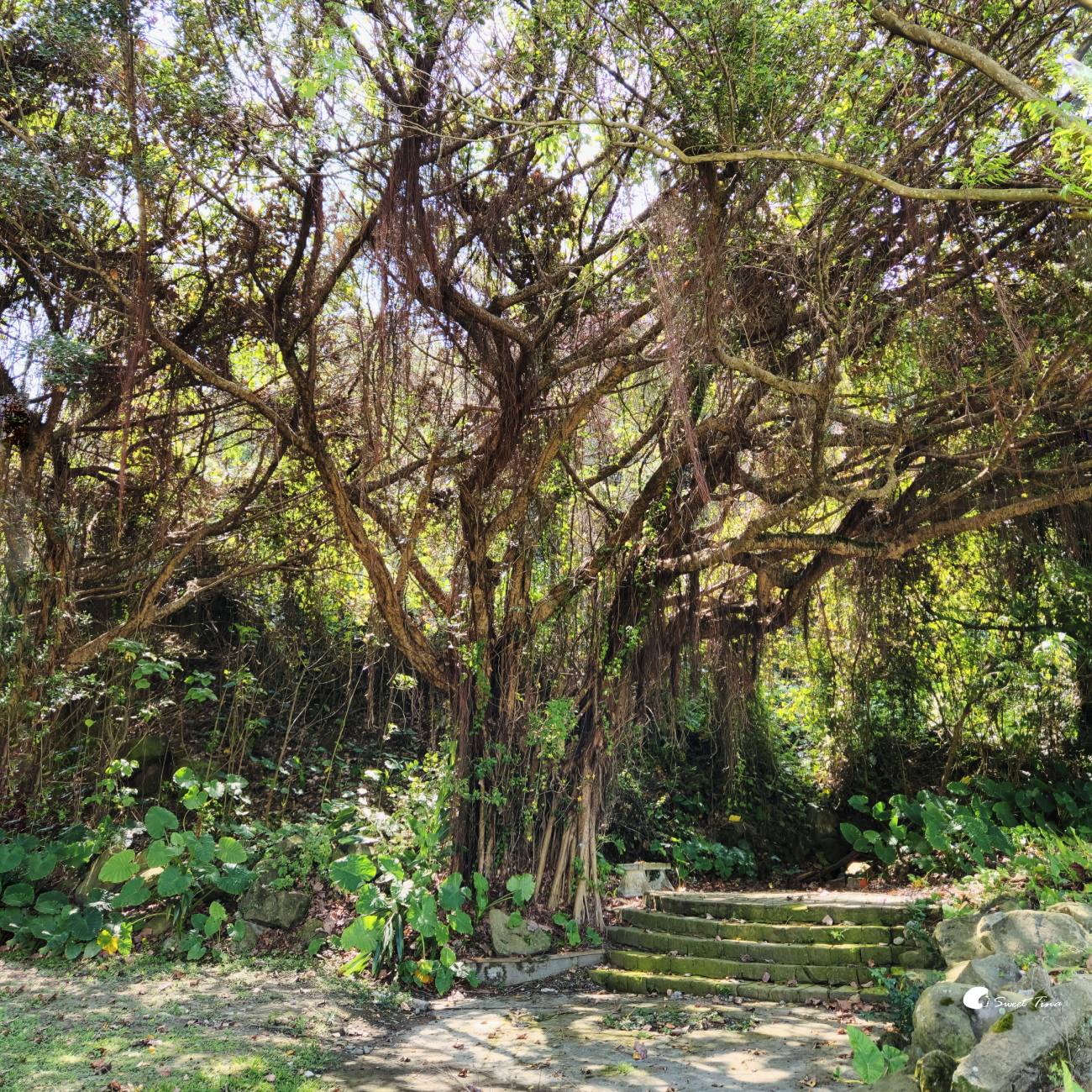 圓山自然景觀公園｜尋訪懷舊摩天輪、花博文化遺跡，台北散步景點