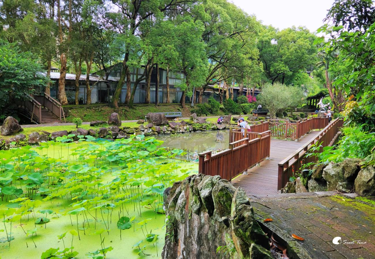至德園|台北賞荷私房景點,隱藏在台北故宮旁的小秘境 至德園|台北賞荷私房景點,隱藏在台北故宮旁的小秘境