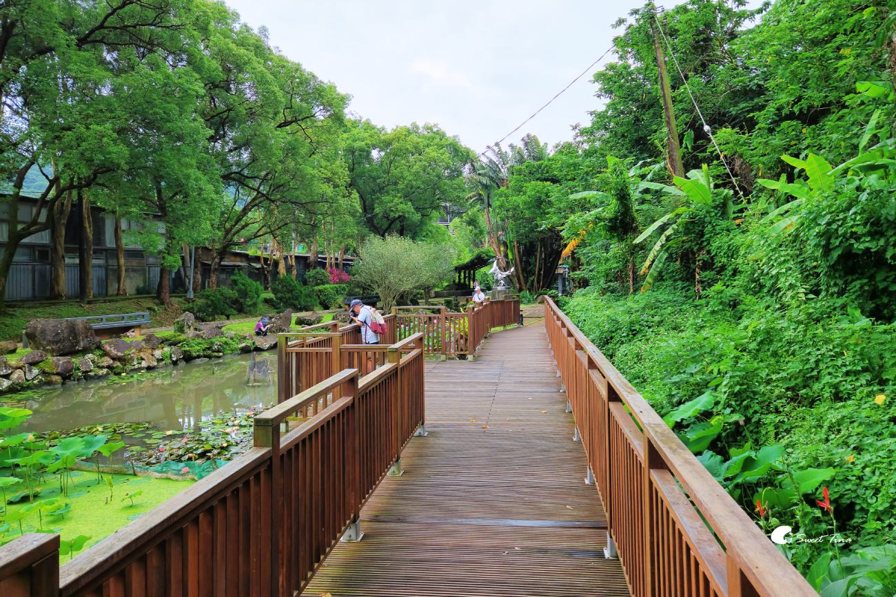 至德園|台北賞荷私房景點,隱藏在台北故宮旁的小秘境 至德園|台北賞荷私房景點,隱藏在台北故宮旁的小秘境