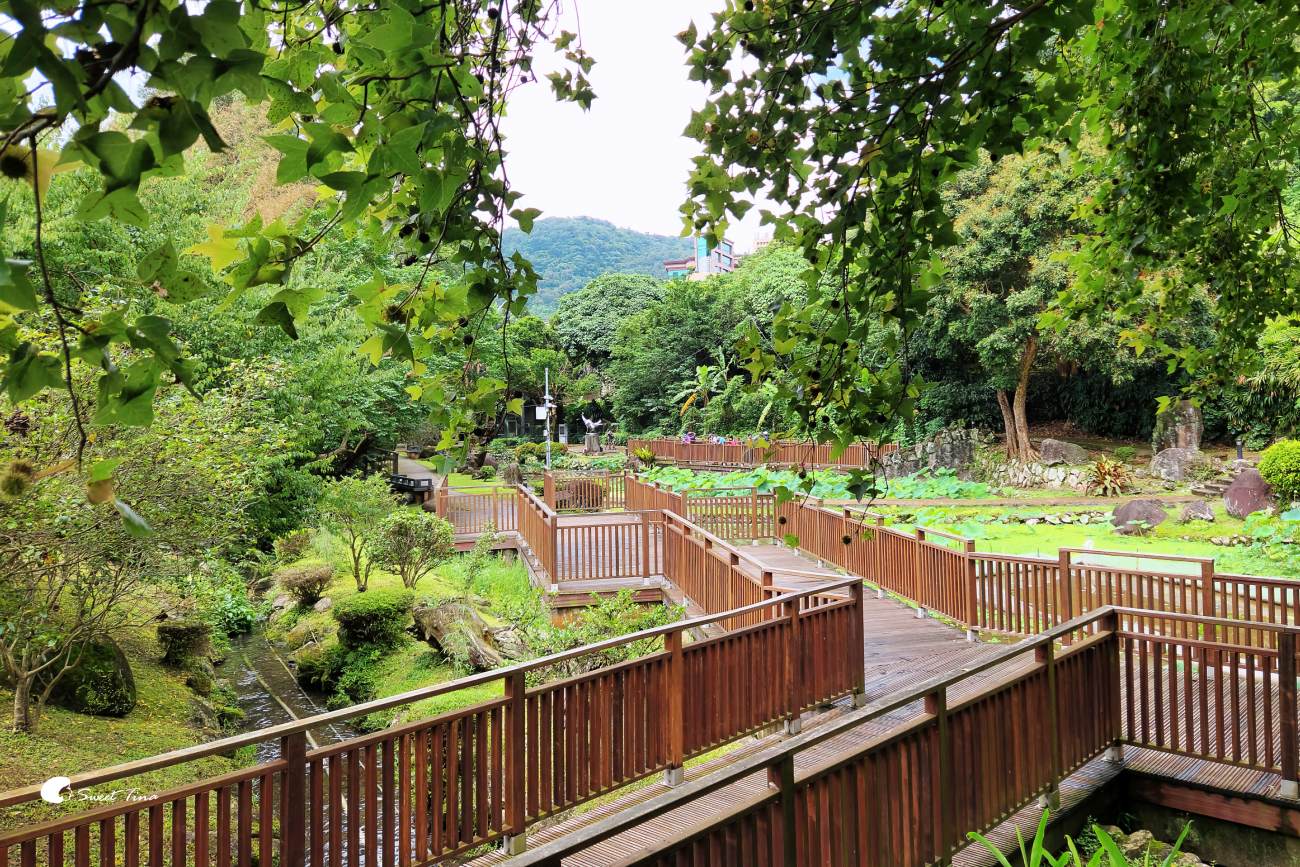 至德園|台北賞荷私房景點,隱藏在台北故宮旁的小秘境 至德園|台北賞荷私房景點,隱藏在台北故宮旁的小秘境