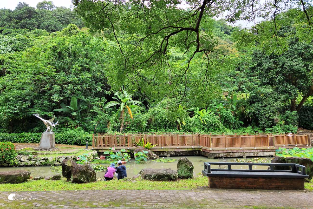至德園|台北賞荷私房景點,隱藏在台北故宮旁的小秘境 至德園|台北賞荷私房景點,隱藏在台北故宮旁的小秘境