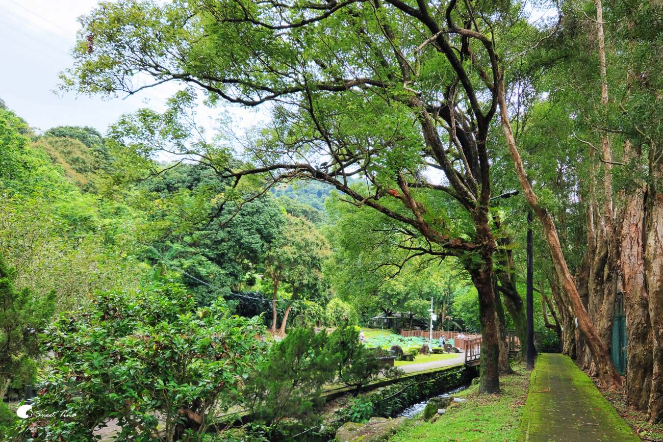 至德園|台北賞荷私房景點,隱藏在台北故宮旁的小秘境 至德園|台北賞荷私房景點,隱藏在台北故宮旁的小秘境