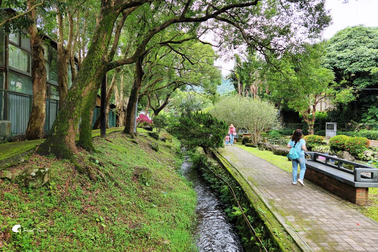 至德園|台北賞荷私房景點,隱藏在台北故宮旁的小秘境 至德園|台北賞荷私房景點,隱藏在台北故宮旁的小秘境