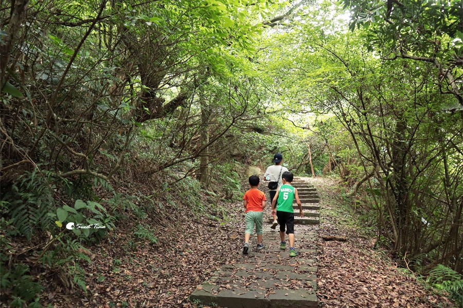 台北中正山觀景台|北投健行景點推薦 – 眺望七星山、探索自然生態 台北中正山觀景台|北投健行景點推薦 – 眺望七星山、探索自然生態
