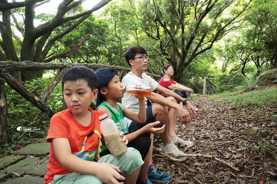 台北中正山觀景台|北投健行景點推薦 – 眺望七星山、探索自然生態 台北中正山觀景台|北投健行景點推薦 – 眺望七星山、探索自然生態