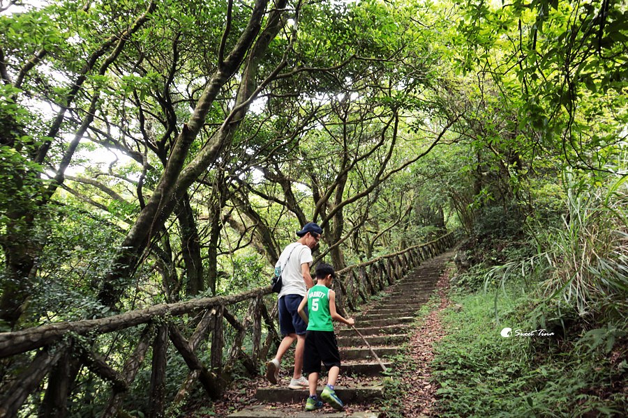 台北中正山觀景台|北投健行景點推薦 – 眺望七星山、探索自然生態 台北中正山觀景台|北投健行景點推薦 – 眺望七星山、探索自然生態
