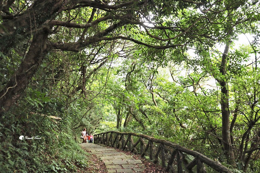 台北中正山觀景台|北投健行景點推薦 – 眺望七星山、探索自然生態 台北中正山觀景台|北投健行景點推薦 – 眺望七星山、探索自然生態